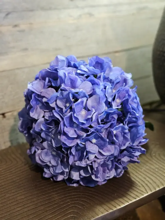 aa2420d3ab49d4a14e40633092632388