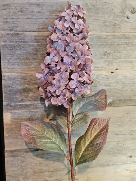 139a1ad7ce473c39bd98e433f4261f8d