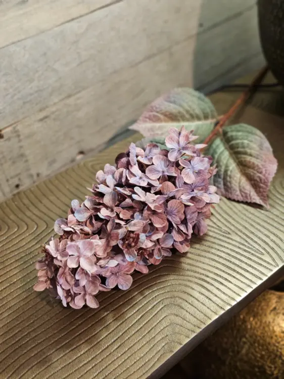 8749e0203322e47908815468f4d629b5