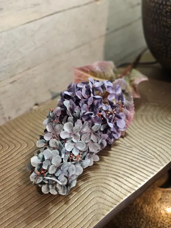 7694af455d782a0339da8f8b418acb2e