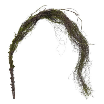 98530b33babee3a9e8cd3e37ab96d1a1