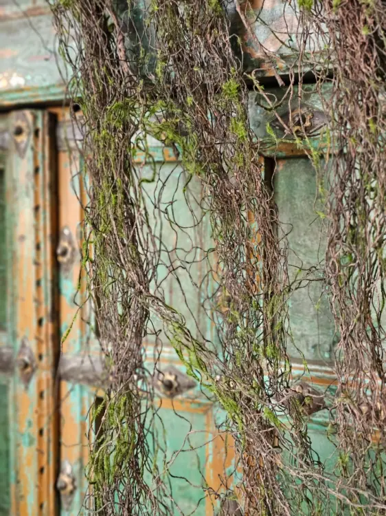 707f383d851e589c31469aa2497cb0bd