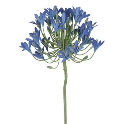 12127115b4eb1d34a8c4639784508572