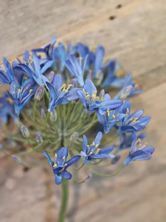 396a32a1233c7154fc6fde40055df05b