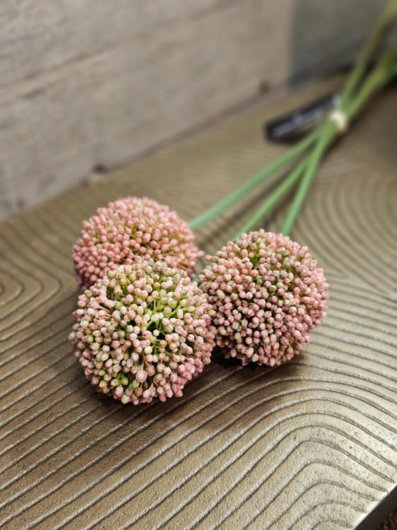 a2f1b80dbfbbc52afaae4d83c05c75bd