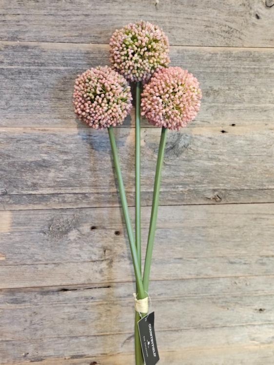 ab4136fd1c37a0da581e835ef50a3280