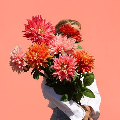 cc14d431acb823ea6270589fc8497871