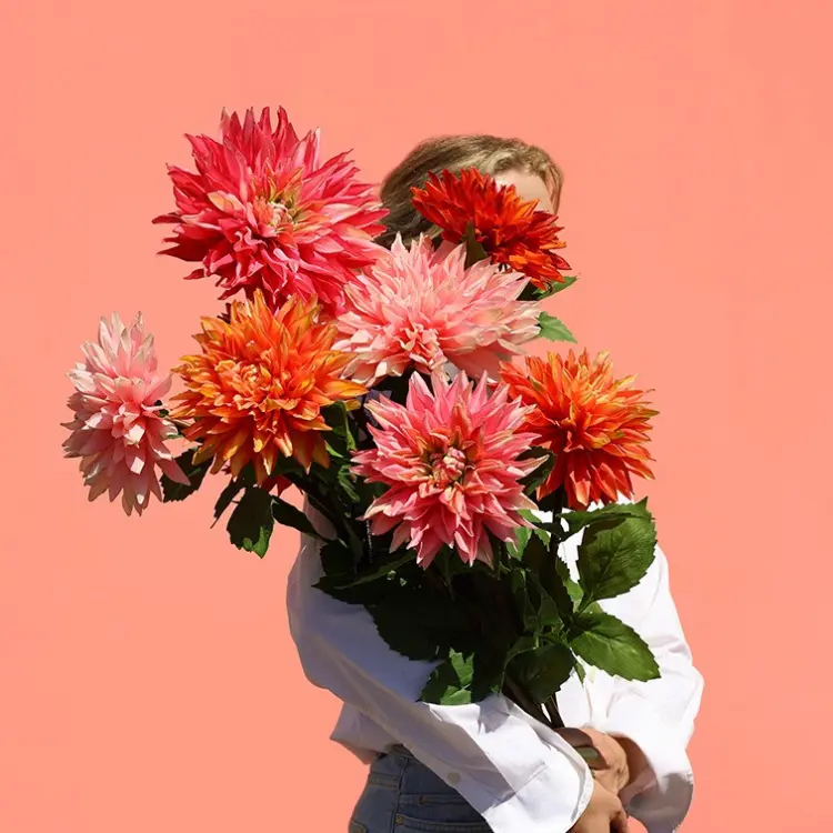 cc14d431acb823ea6270589fc8497871