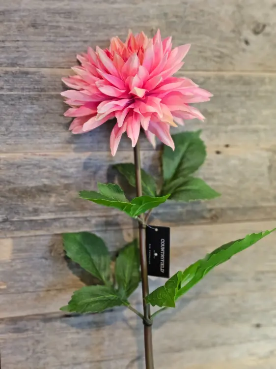 1f1fff51263fb3ea252fe87c8385f217