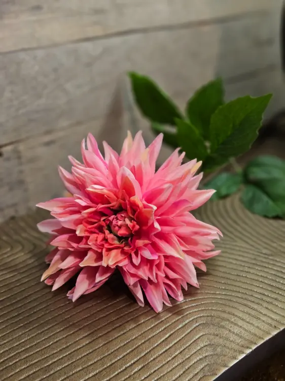 0771380e38d1085d2c85f322dc6cc32d