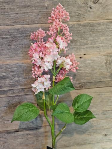 8af355a0d00f0df9c51d8270366af45e