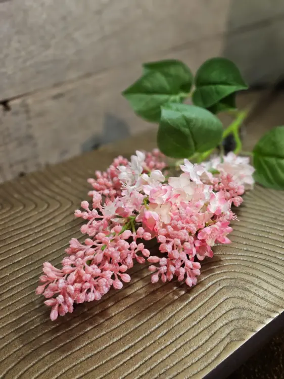 7c191bd4855ad99aa94ef10e82d769ff