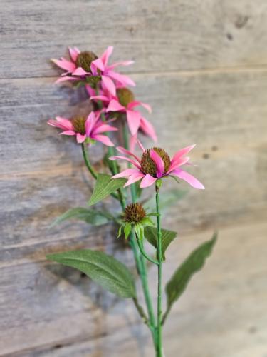 3ddcbef53ddefef9908228ca150122ab