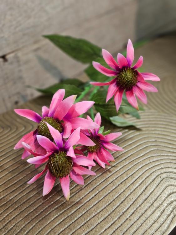 606c254d21ffda0ae88d8776b35c52b7