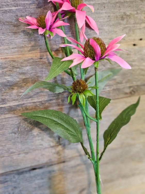 a12ef1db9e5fe7a022baab5c71c0f206