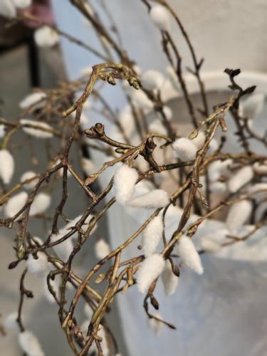 0f3985b615f7dfceb3bf707c4bdc8637