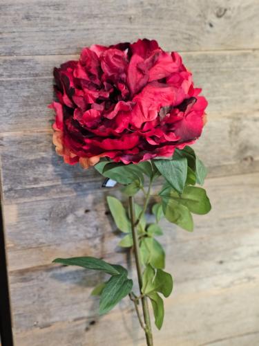 48c6651d997c6e43f8d9588c36d0c81f