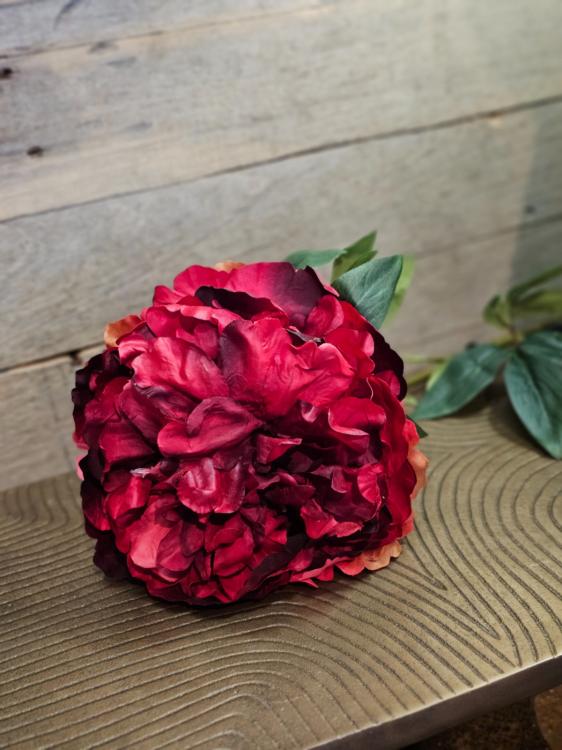 8d5766ec0dc2d4ada62d164cd8c99d51