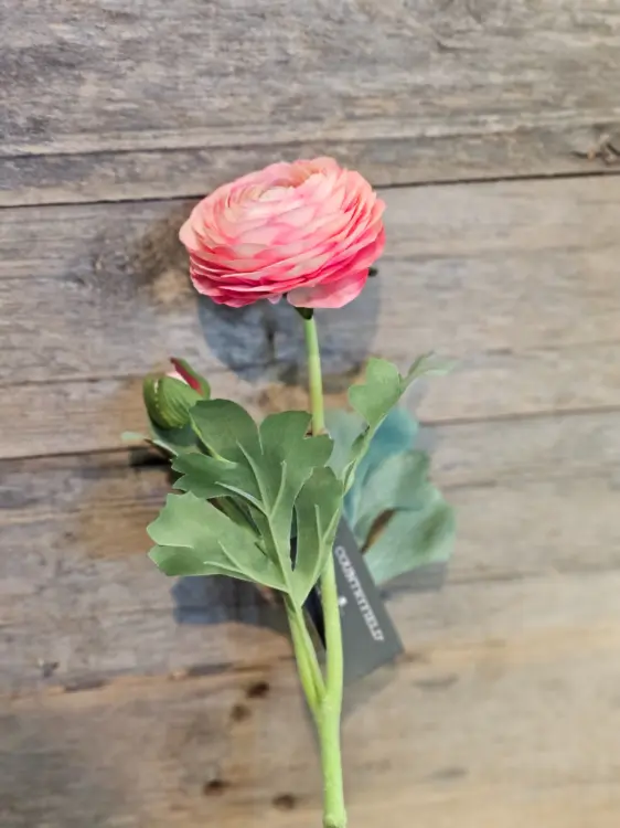 2938a3c6b799ea8dd9c06244d88068e1