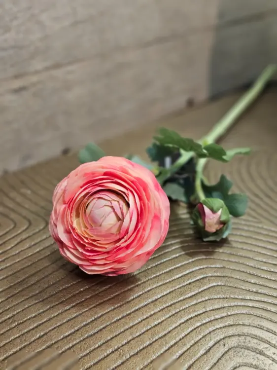 30c2405298ea245e1c1c602015662c8d