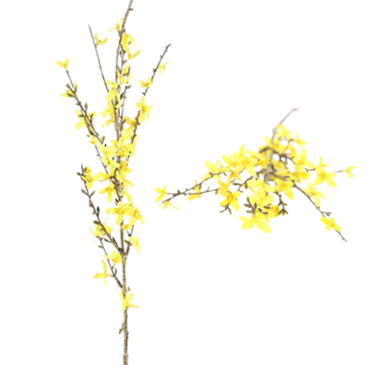 504b93bfcf9cc2c6ad4d174550539d02