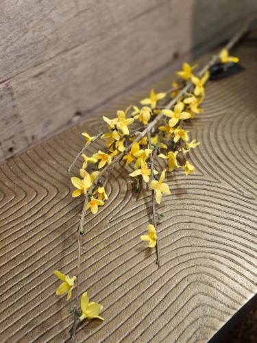 fc413a0a59e02529c0ffbdf5da3f8604