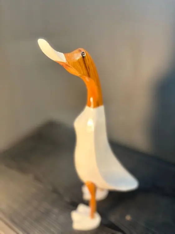 fac70f0ee67afef32a58471d84e889b5