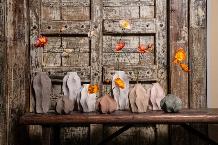 c1cc5d1d12d7c26f1ce84932d2adfaa6