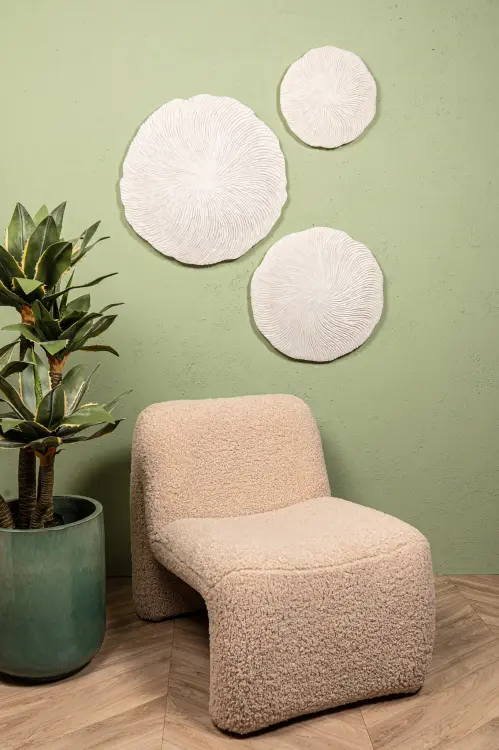 725078 725079 725080-11.jpg