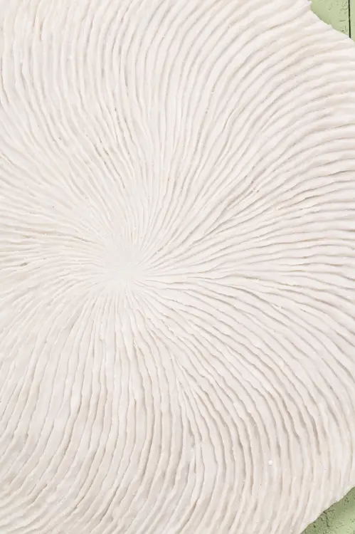 725078 725079 725080-13.jpg