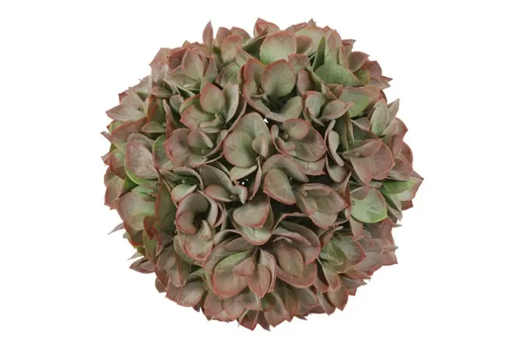 2e678949d811bc253c6557e8719a5d92