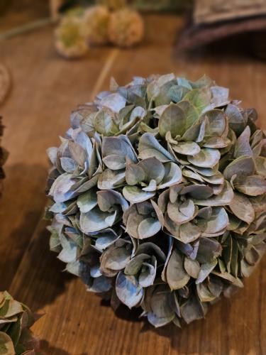 e6c75a775f268b6434a3df9defe3459c