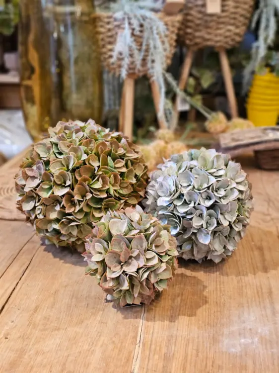 e5d310aed85d7decde6f9d32cb3b38de