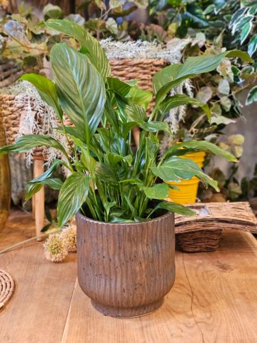 f2e4ce90ae3bdf10c0394f5d2476d83b