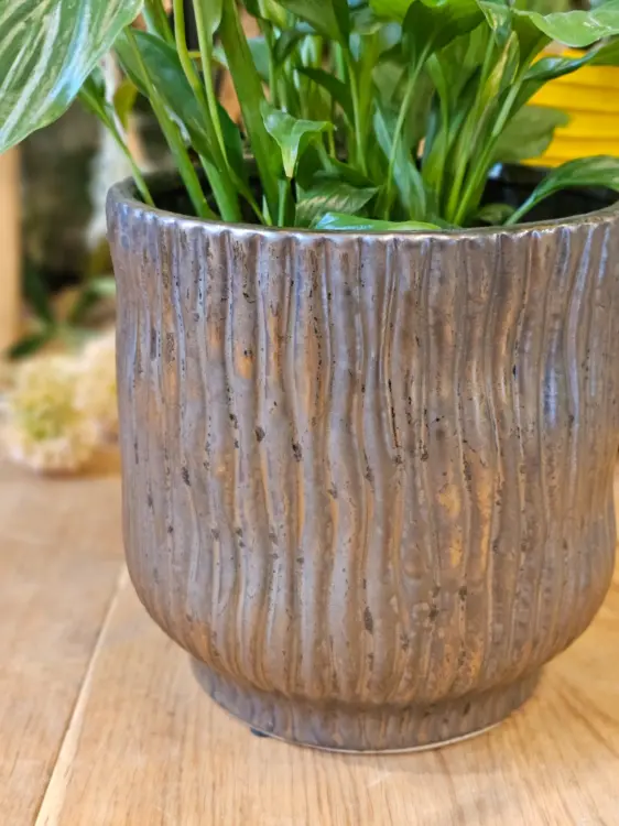 4166a32ec83a3346b43d68471d07dc04