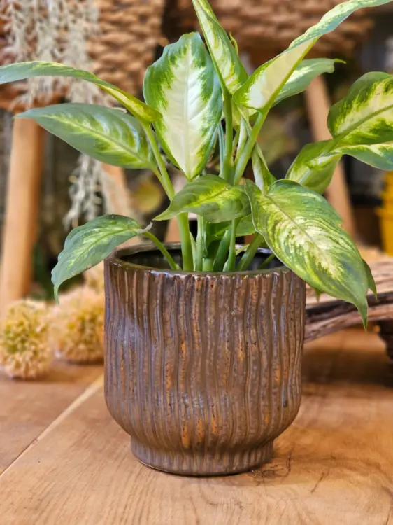 676a65e67656e101b6a3d2614b11671e