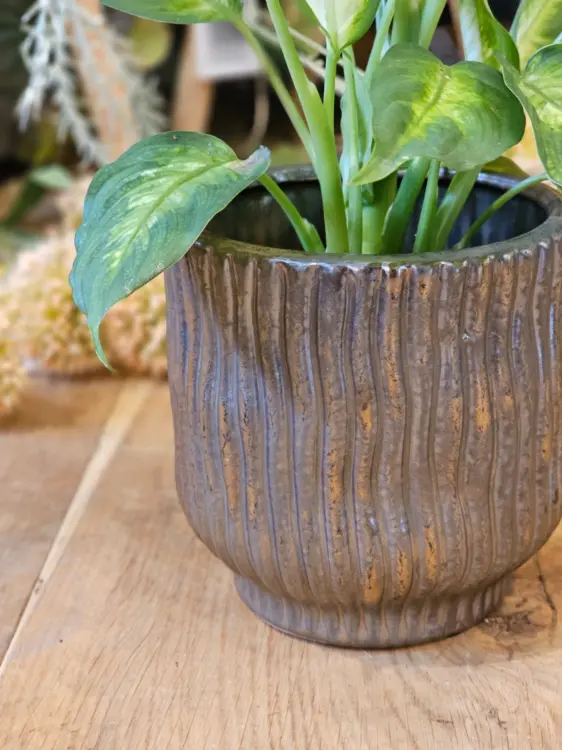 1e66e4b9d2eeb06bd128547d2c897600