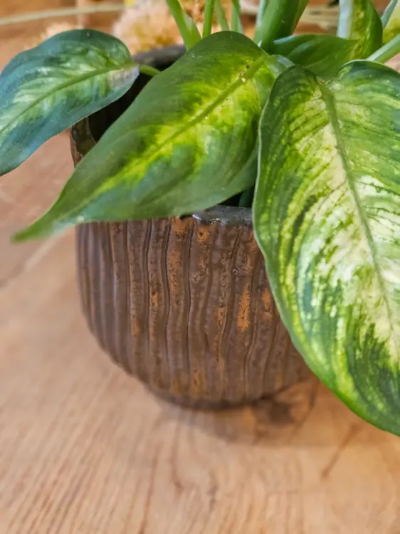 8f9484918bc54741c9cb7decbd18074a