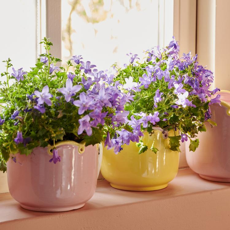 6f5c35cc1ac3e27cbf4284287106143d