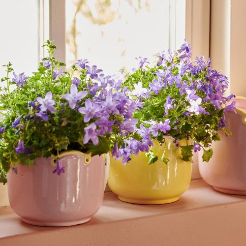 f64ffe40a5b9c4d4c4dddca066bb6e31