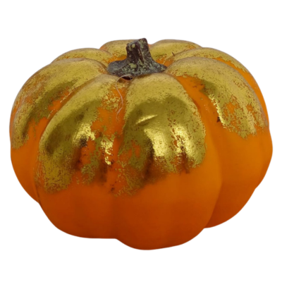 302c6fb6aec006593e9b58c253d29cc8