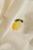 bc94ae4fbbf997ff60508238fb9450c8