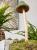d65b788c354c7c4c284ccef5c3154877
