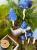 baa9e3742cc2eca9846df8bf71a79552