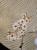 8391cd81a893bb540d00a1e92293bac3