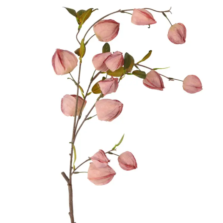 3ec257c725f2d685497adc24bf37dac7