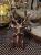 007b503253a1b765ecbabe7edfce7b79