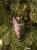 f602d40ea5446961b423afe397cff5ce