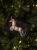 acc9daadfa5c96176705914f84900167